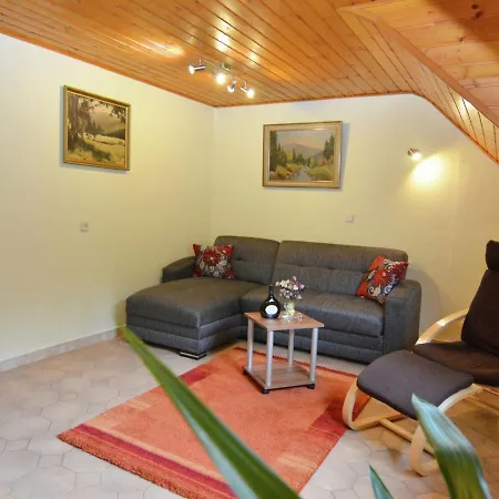 Comfortable Holiday With Terraces Located In The Southern Part Of The Thuringia Forest * Schleusegrund
